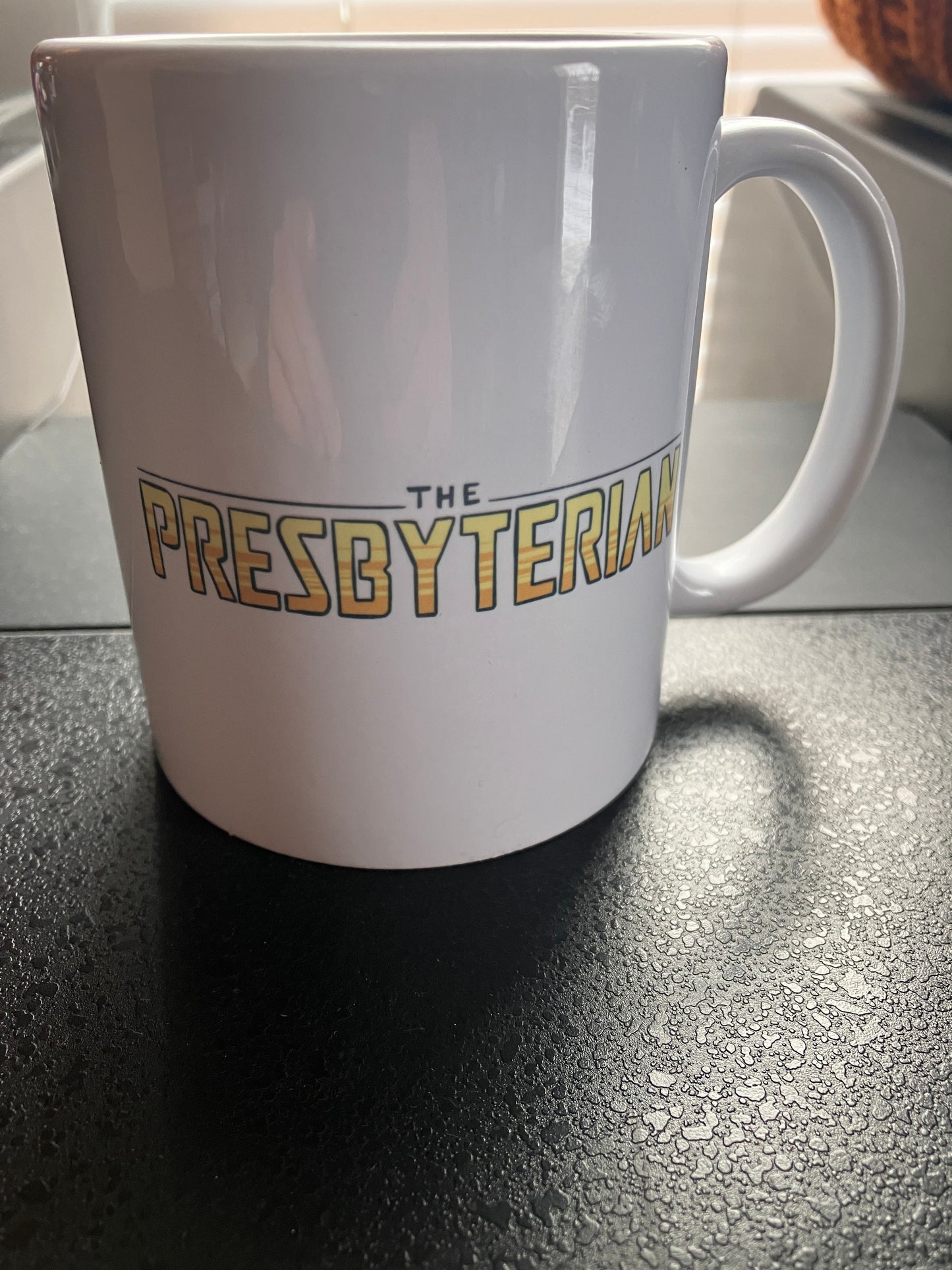 DISCOUNTED Mug: The Presbyterian